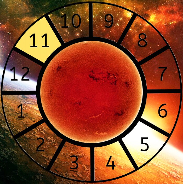 The Sun shown within a Astrological House wheel highlighting the 11th House